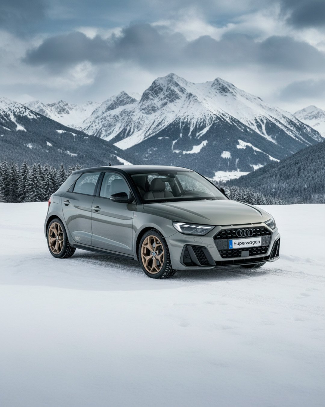 Audi en paisaje nevado